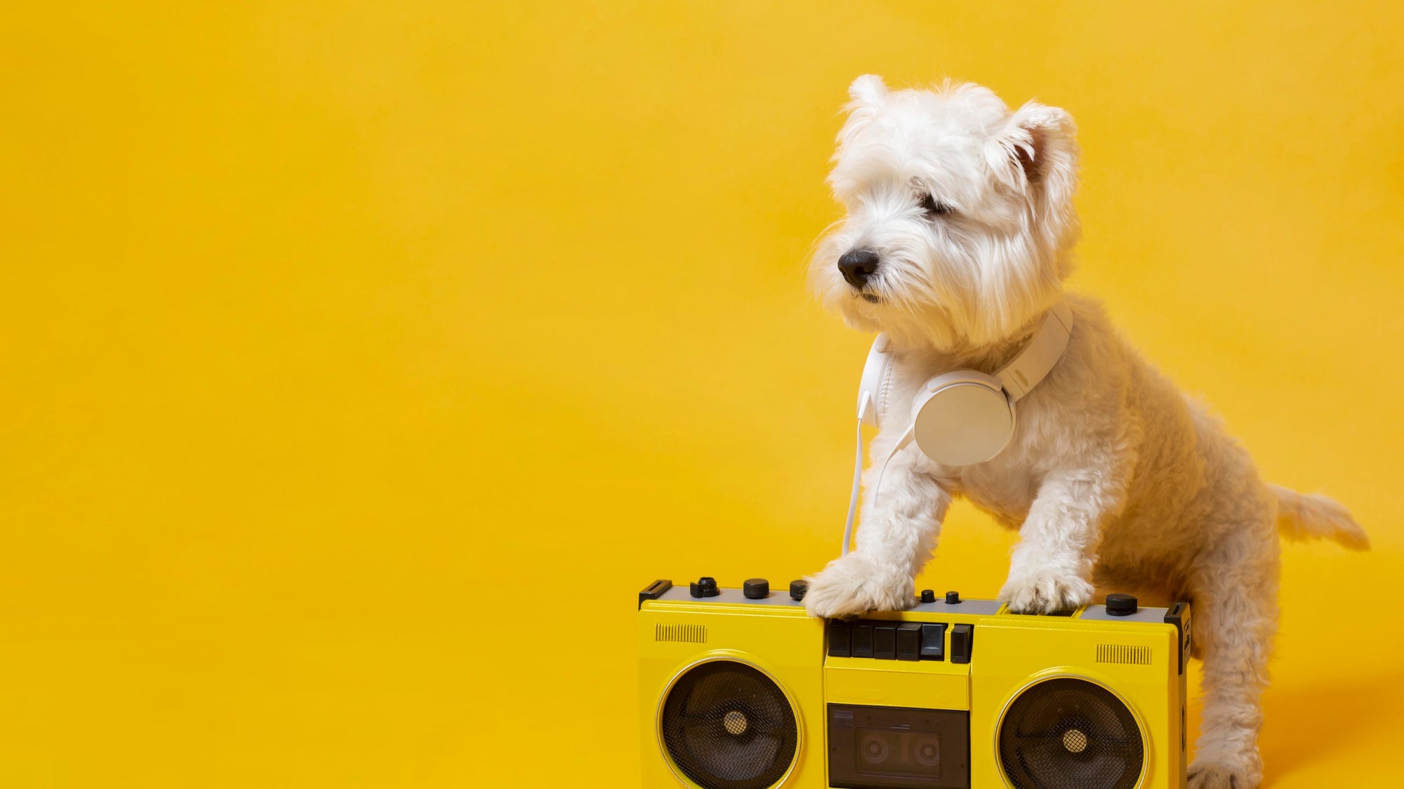 The VTech Pull and Sing Puppy: Your Child's New Best Friend for Learning and Fun